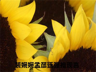 裴婉婉孟彦廷全文免费在线阅读_（裴婉婉孟彦廷全文免费阅读无弹窗大结局）裴婉婉孟彦廷最新章节列表笔趣阁
