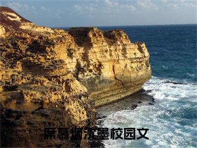 席慕烟沈墨（席慕烟沈墨）全文免费阅读无弹窗大结局_（席慕烟沈墨）小说免费阅读最新章节列表