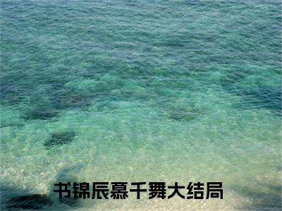 书锦辰慕千舞（书锦辰慕千舞小说）全文免费阅读无弹窗大结局_（书锦辰慕千舞）书锦辰慕千舞小说最新章节列表