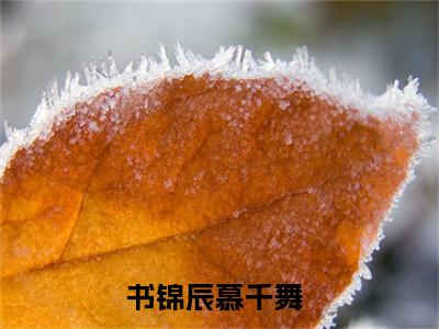 书锦辰慕千舞（书锦辰慕千舞小说）在线阅读全文-书锦辰慕千舞小说免费阅读完结版全文