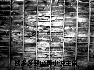 钱多多罗盛勇（钱多多罗盛勇）高质量小说免费阅读_钱多多罗盛勇最新章节列表_笔趣阁