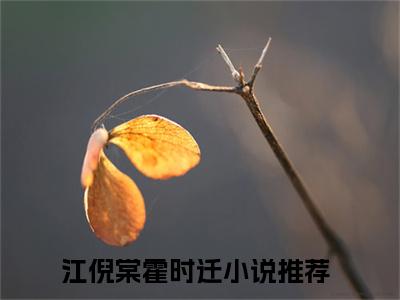 江倪棠霍时迁热门小说在哪免费看-小说江倪棠霍时迁（江倪棠霍时迁）完整版全文在线赏析