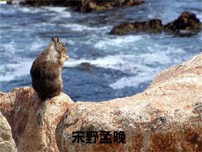 宋野孟晚（宋野孟晚）全文免费阅读无弹窗大结局_（宋野孟晚无弹窗）全文完整版免费阅读