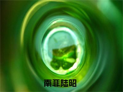 南菲陆昭小说全文免费阅读_（南菲陆昭）南菲陆昭最新章节列表笔趣阁