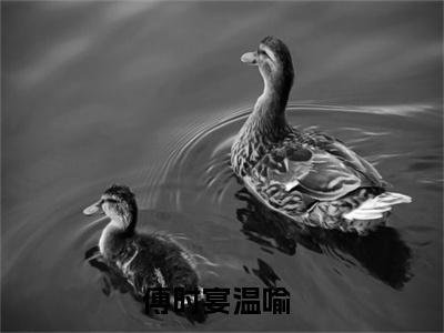 傅时宴温喻（傅时宴温喻）全文免费阅读_傅时宴温喻最新章节列表_笔趣阁
