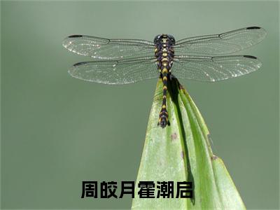 周皎月霍潮启（周皎月霍潮启）小说免费在线阅读_周皎月霍潮启全本免费小说阅读（周皎月霍潮启）