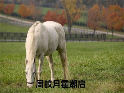 周皎月霍潮启(周皎月霍潮启)全文免费阅读无弹窗大结局_(周皎月霍潮启免费阅读全文大结局)周皎月霍潮启最新章节列表_笔趣阁（周皎月霍潮启）