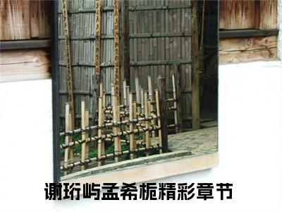 谢珩屿孟希栀（谢珩屿孟希栀）全文在线阅读免费大结局_谢珩屿孟希栀最新章节列表_笔趣阁（谢珩屿孟希栀）
