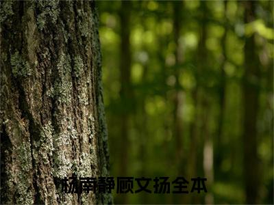 杨南静顾文扬(杨南静顾文扬)小说免费阅读-杨南静顾文扬（杨南静顾文扬）全文阅读-笔趣阁（杨南静顾文扬）