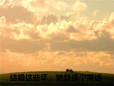 结婚这些年，她就像个笑话小说（江吟玉沈经年）全文免费阅读无弹窗大结局_结婚这些年，她就像个笑话最新章节在线阅读_笔趣阁