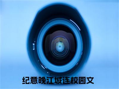 纪意晚江城连免费阅读，主角为纪意晚江城连的言情小说