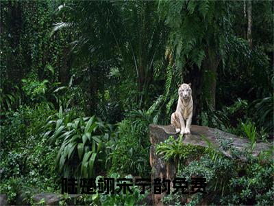 陆楚翊宋宁韵（陆楚翊宋宁韵）高质量小说推荐阅读-最新小说陆楚翊宋宁韵全文阅读