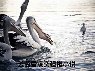 姜茵雪凌奕全文免费完整版 姜茵雪凌奕在线试读