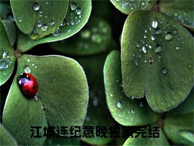 江城连纪意晚最新热门榜单小说 江城连纪意晚在线阅读