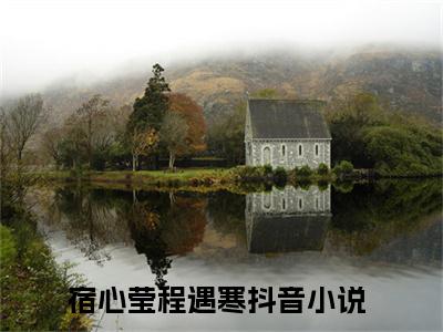 小说《他再一次偏心养子时，我提出了离婚》全文免费阅读无弹窗-宿心莹程遇寒小说全文在线赏析