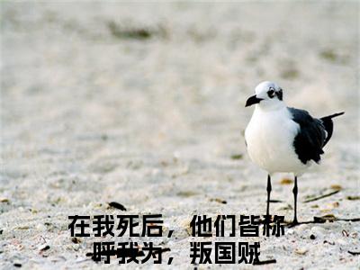 谢若安萧景恒小说全文免费阅读无弹窗大结局-在我死后，他们皆称呼我为，叛国贼小说在哪里可以看