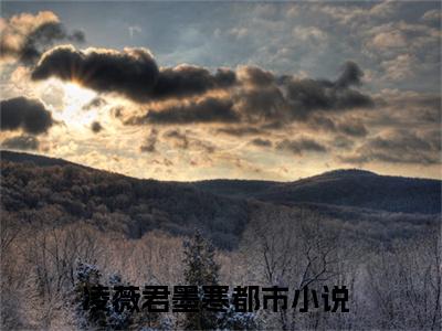 凌薇君墨寒全文免费在线阅读_（凌薇君墨寒全文免费阅读无弹窗大结局）