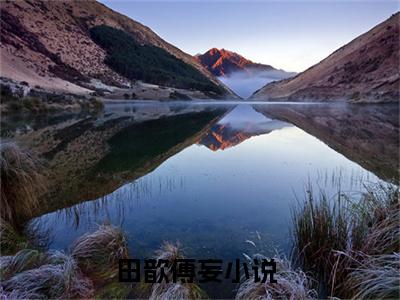田歆傅妄全文免费阅读无弹窗大结局-田歆傅妄全文在线阅读