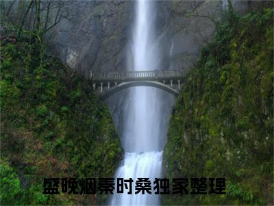 男女主人公叫盛晚烟秦时桑的小说盛晚烟秦时桑免费在线