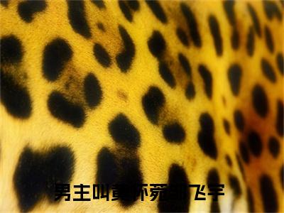 黄怀菀邹飞宇免费完结小说-黄怀菀邹飞宇在线阅读全文（黄怀菀邹飞宇）