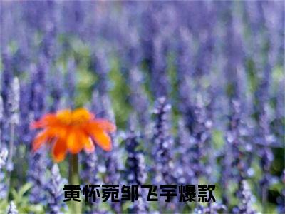 黄怀菀邹飞宇小说在线阅读-小说（黄怀菀邹飞宇）免费观看