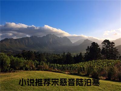 【新书】《宋慈音陆泊寒》宋慈音陆泊寒全文全章节免费阅读