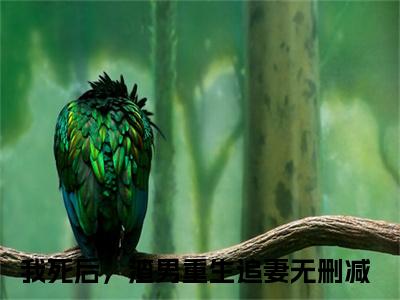 谢殊沈城（我死后，渣男重生追妻）全文免费阅读无弹窗大结局_（谢殊沈城）最新章节列表_笔趣阁
