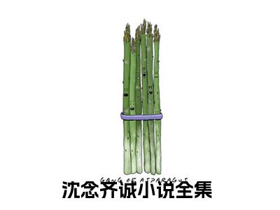 沈念齐诚（沈念齐诚）全文免费阅读无弹窗大结局_沈念齐诚最新章节列表_笔趣阁（沈念齐诚）