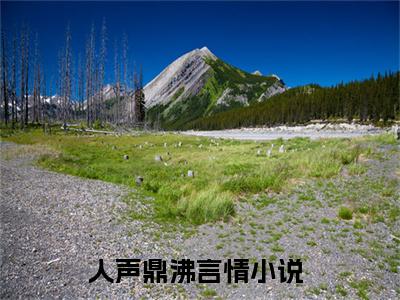 小说《沈眠陆少卿》全文免费阅读无弹窗-人声鼎沸小说全文在线赏析