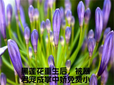 主角是封寰江慵的小说-黑莲花重生后，被暴君宠成掌中娇全文无弹窗免费阅读