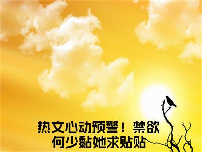 心动预警！禁欲何少黏她求贴贴全文（何未逢沈念之）全文免费阅读无弹窗大结局_何未逢沈念之免费最新章节列表_笔趣阁