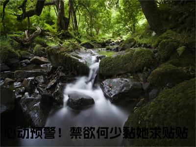 何未逢沈念之已完结小说全集阅读（心动预警！禁欲何少黏她求贴贴完整版大结局）何未逢沈念之小说全文阅读笔趣阁