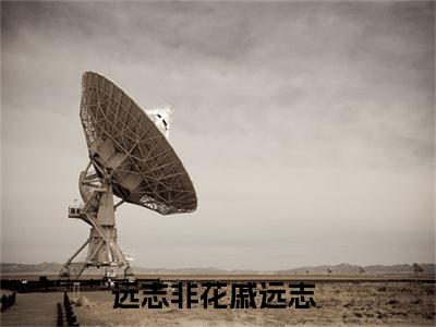 远志非花戚远志全文免费阅读无弹窗大结局_（远志非花戚远志）全文在线阅读大结局