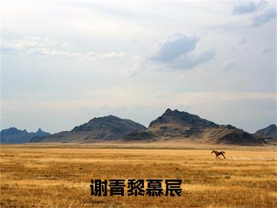 谢青黎慕宸新书热荐免费小说全文完整版-小说精选片段阅读