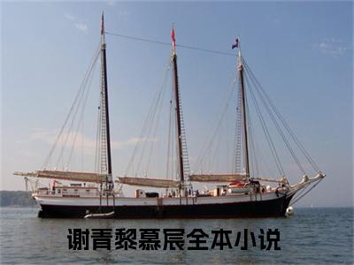 谢青黎慕宸全文免费阅读无弹窗大结局_ 谢青黎慕宸在线阅读无弹窗