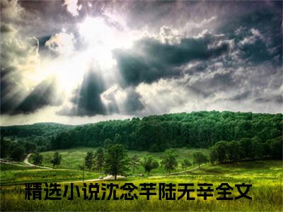沈念芊陆无辛（沈念芊陆无辛）在线阅读大结局-沈念芊陆无辛小说最新章节阅读-笔趣阁