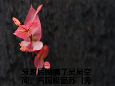 分家后囤满了灵泉空间，气疯极品苏玥(分家后囤满了灵泉空间，气疯极品苏玥)全文免费阅读_分家后囤满了灵泉空间，气疯极品苏玥章节免费阅读-笔趣阁