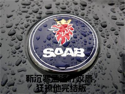 咬唇，狂撩他全集小说（靳沉寒孟洛柠）全文免费阅读无弹窗大结局_咬唇，狂撩他最新章节列表_笔趣阁（靳沉寒孟洛柠）