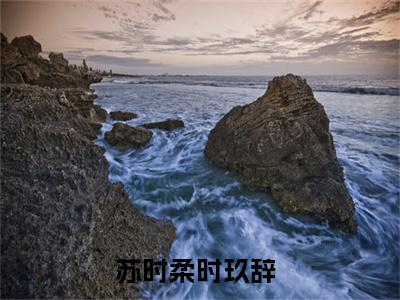 苏时柔时玖辞小说免费阅读无弹窗大结局，苏时柔时玖辞最新章节列表