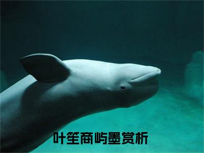 叶笙商屿墨全文免费阅读无弹窗大结局_（叶笙商屿墨）全文在线阅读大结局