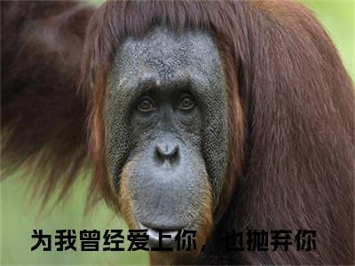 卿以以韩抒辰全文免费在线阅读大结局_（为我曾经爱上你，也抛弃你免费阅读无弹窗）卿以以韩抒辰全文免费完结版阅读（为我曾经爱上你，也抛弃你）