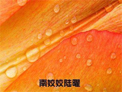 精选小说南姣姣陆曜（南姣姣陆曜）全本阅读_南姣姣陆曜免费阅读_笔趣阁
