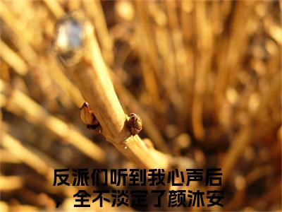 反派们听到我心声后，全不淡定了颜沐安后续+番外（反派们听到我心声后，全不淡定了颜沐安）全文免费阅读无弹窗大结局_反派们听到我心声后，全不淡定了颜沐安后续+番外免费阅读_笔趣阁（反派们听到我心声后，全不淡定了颜沐安后续+番外）