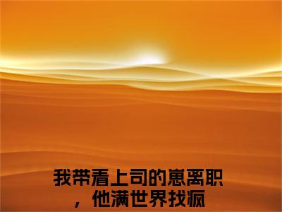 我带着上司的崽离职，他满世界找疯（唐甜段榆景）全文免费阅读无弹窗_（我带着上司的崽离职，他满世界找疯小说免费阅读）最新章节列表笔趣阁