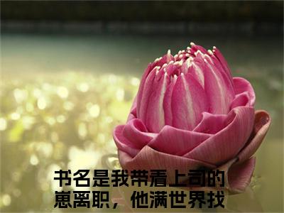 唐甜段榆景（我带着上司的崽离职，他满世界找疯最新全章节大结局）全文阅读-唐甜段榆景我带着上司的崽离职，他满世界找疯在线小说免费阅读