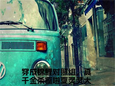 穿成锦鲤对照组，真千金杀疯啦夏灵灵小说主角叫什么 穿成锦鲤对照组，真千金杀疯啦夏灵灵全文免费阅读大结局