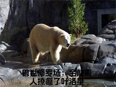 兽世修罗场：全能美人撩疯了叶洛星小说（兽世修罗场：全能美人撩疯了叶洛星）完整版大结局-兽世修罗场：全能美人撩疯了叶洛星小说免费阅读