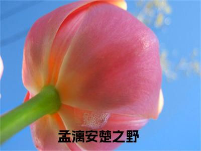 孟漓安楚之野小说免费阅读(孟漓安楚之野)全文免费阅读无弹窗大结局_ 孟漓安楚之野最新章节列表_笔趣阁（孟漓安楚之野小说）