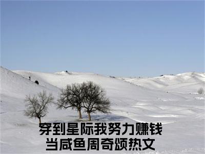 (穿到星际我努力赚钱当咸鱼周奇颂)最新章节在线阅读-小说无弹窗免费阅读