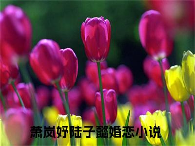 萧岚妤陆子懿免费（萧岚妤陆子懿）全文免费阅读无弹窗大结局_萧岚妤陆子懿免费最新章节列表_笔趣阁